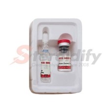 HCG 5000iu Dragon Pharma